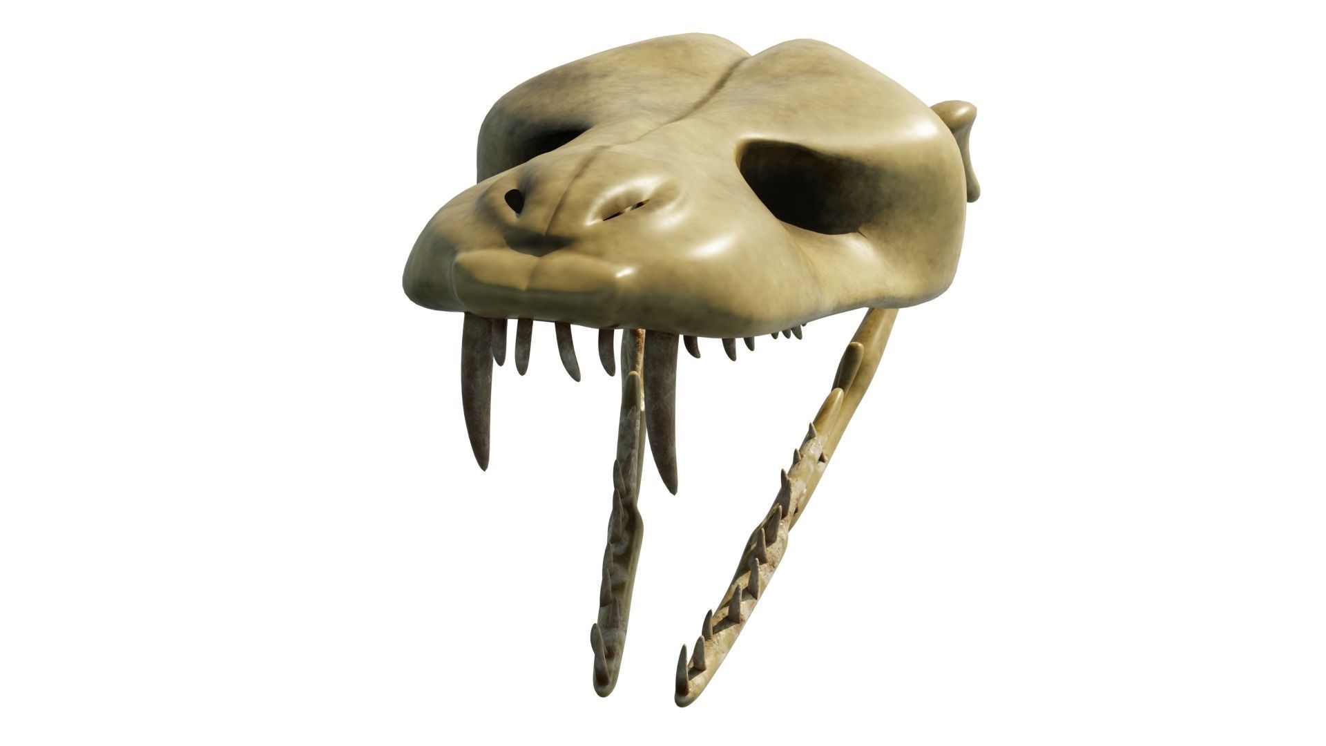 SNEAK SKULL Low-poly 3D model_34