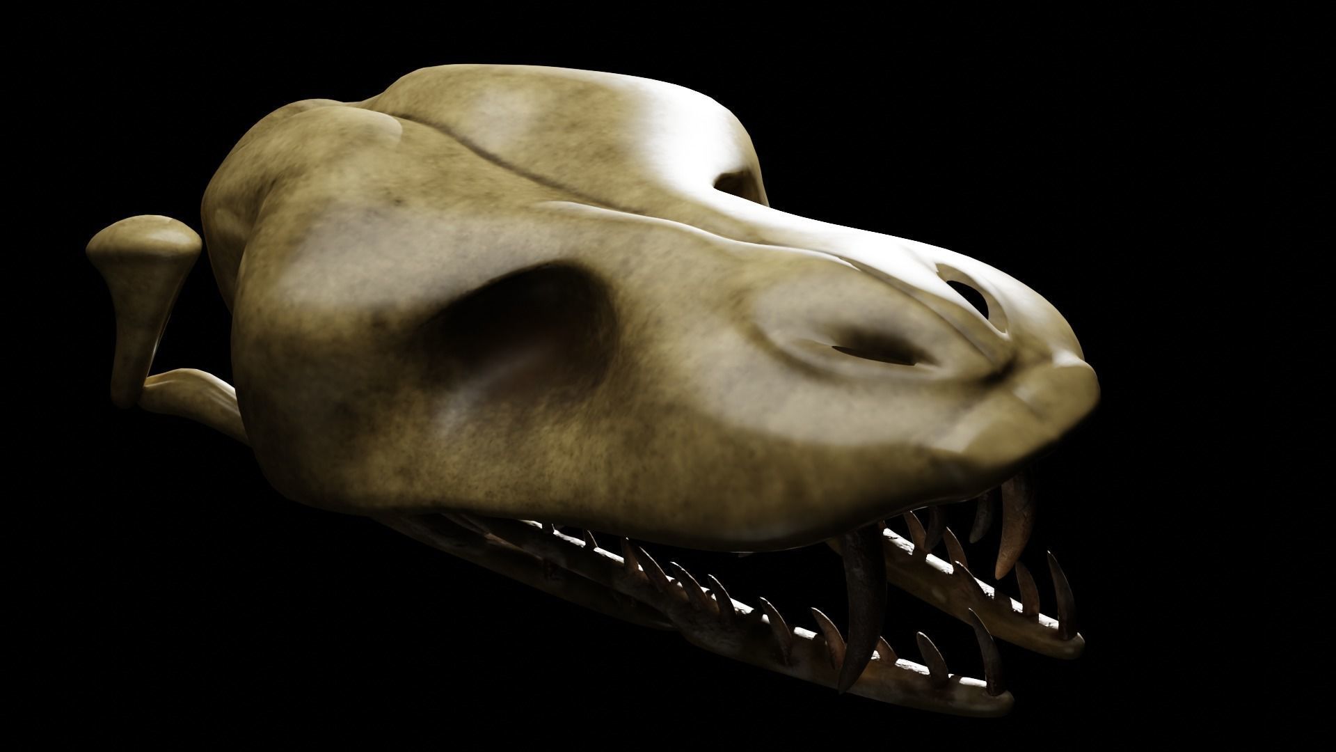 SNEAK SKULL Low-poly 3D model_1