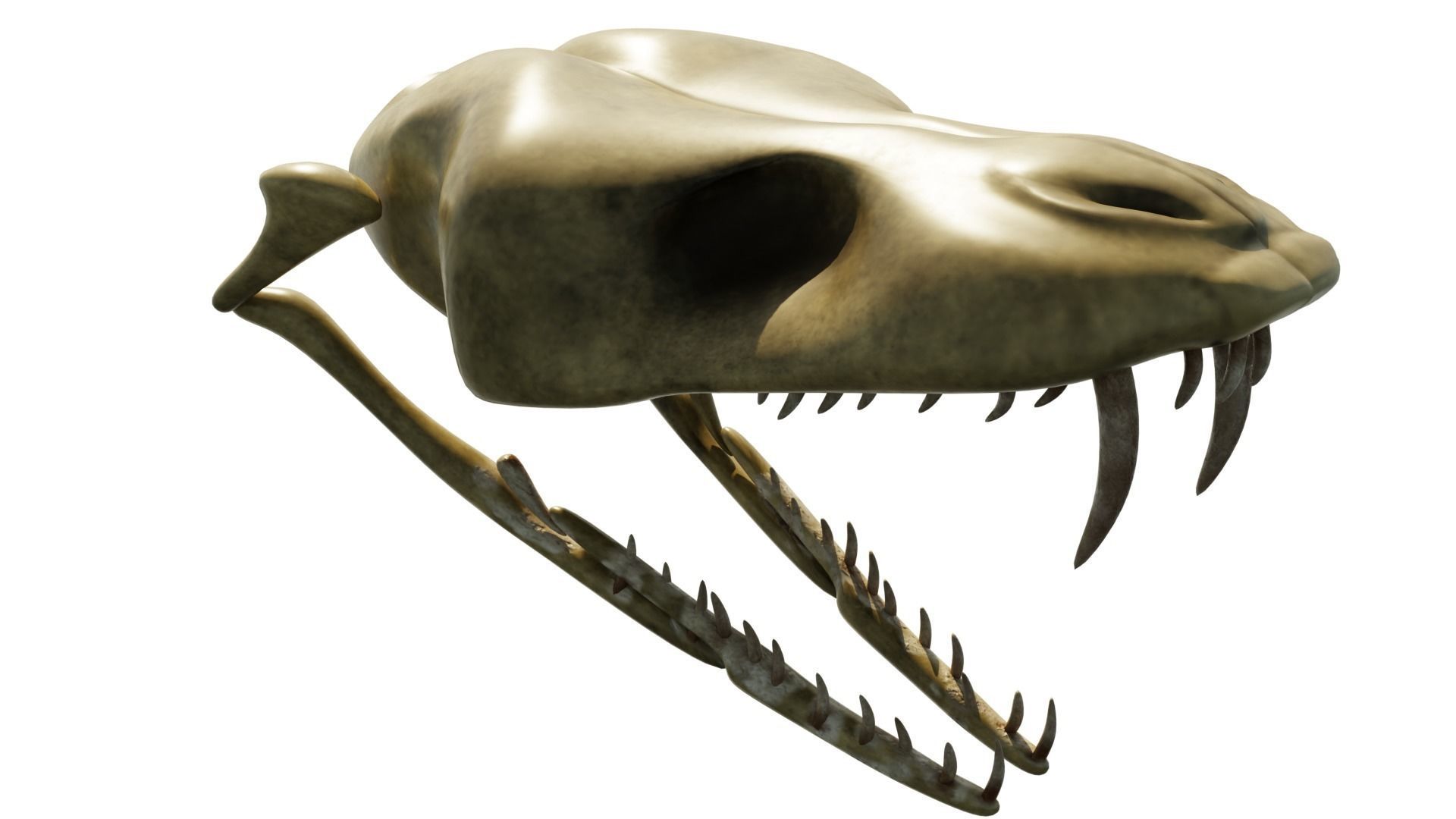 SNEAK SKULL Low-poly 3D model_29