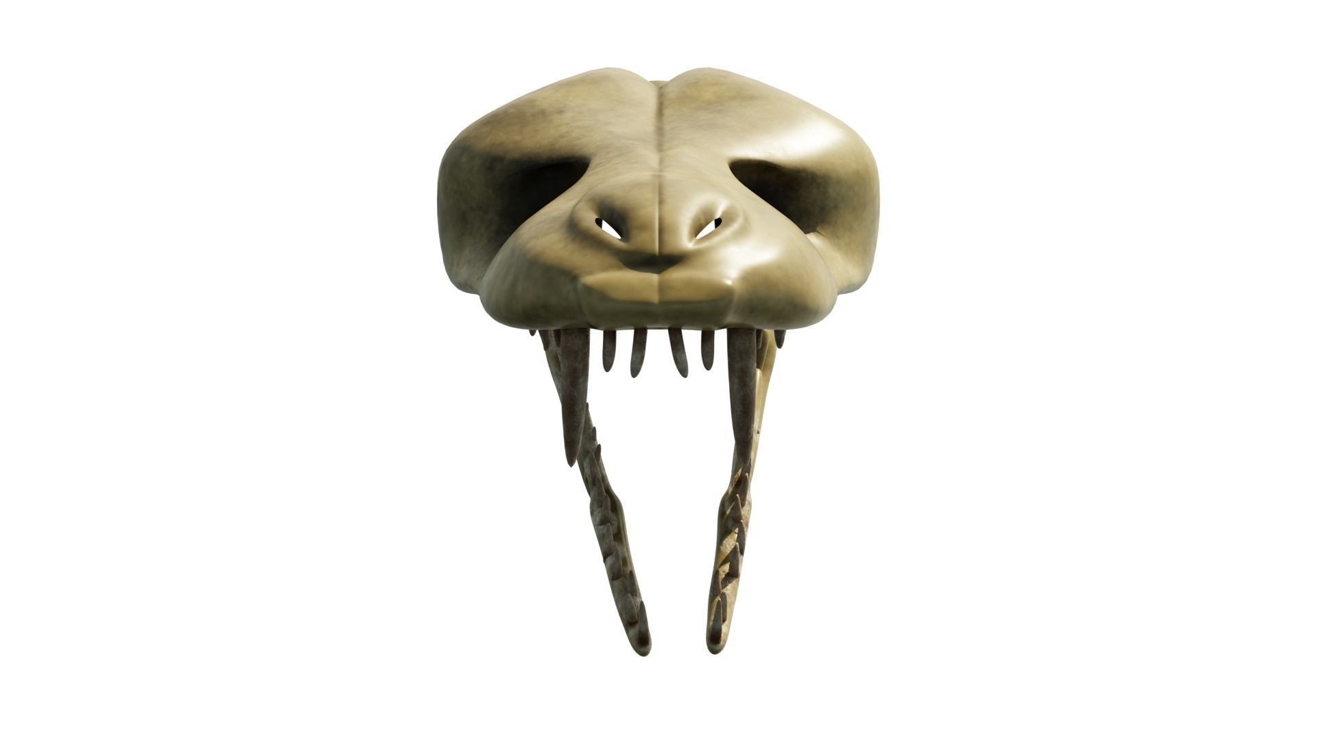 SNEAK SKULL Low-poly 3D model_36