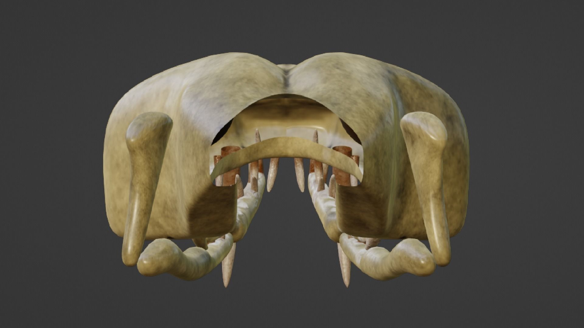 SNEAK SKULL Low-poly 3D model_8