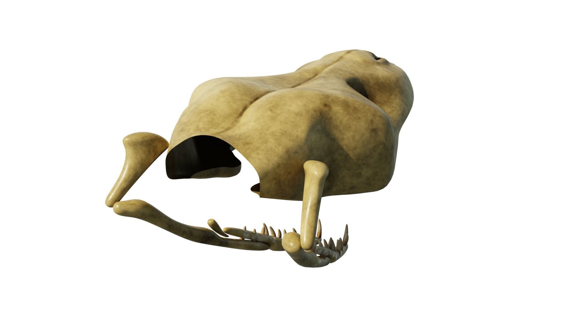 SNEAK SKULL Low-poly 3D model_35