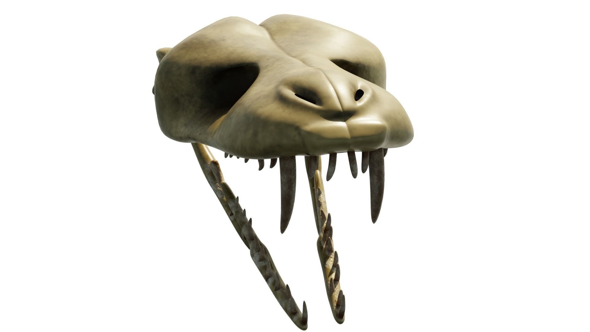 SNEAK SKULL Low-poly 3D model_28