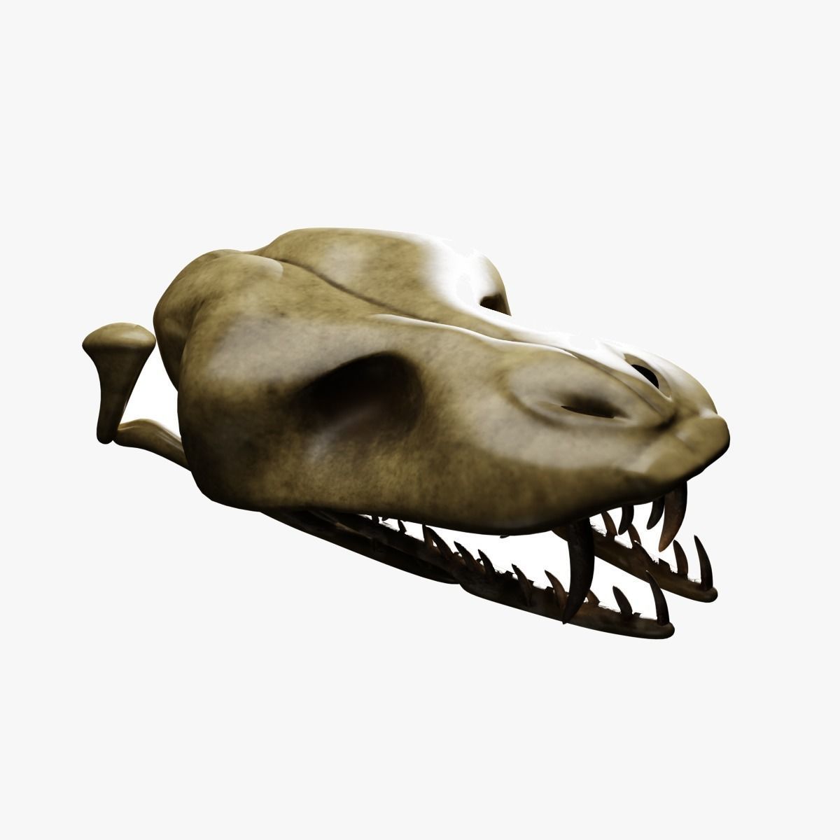 SNEAK SKULL Low-poly 3D model_6