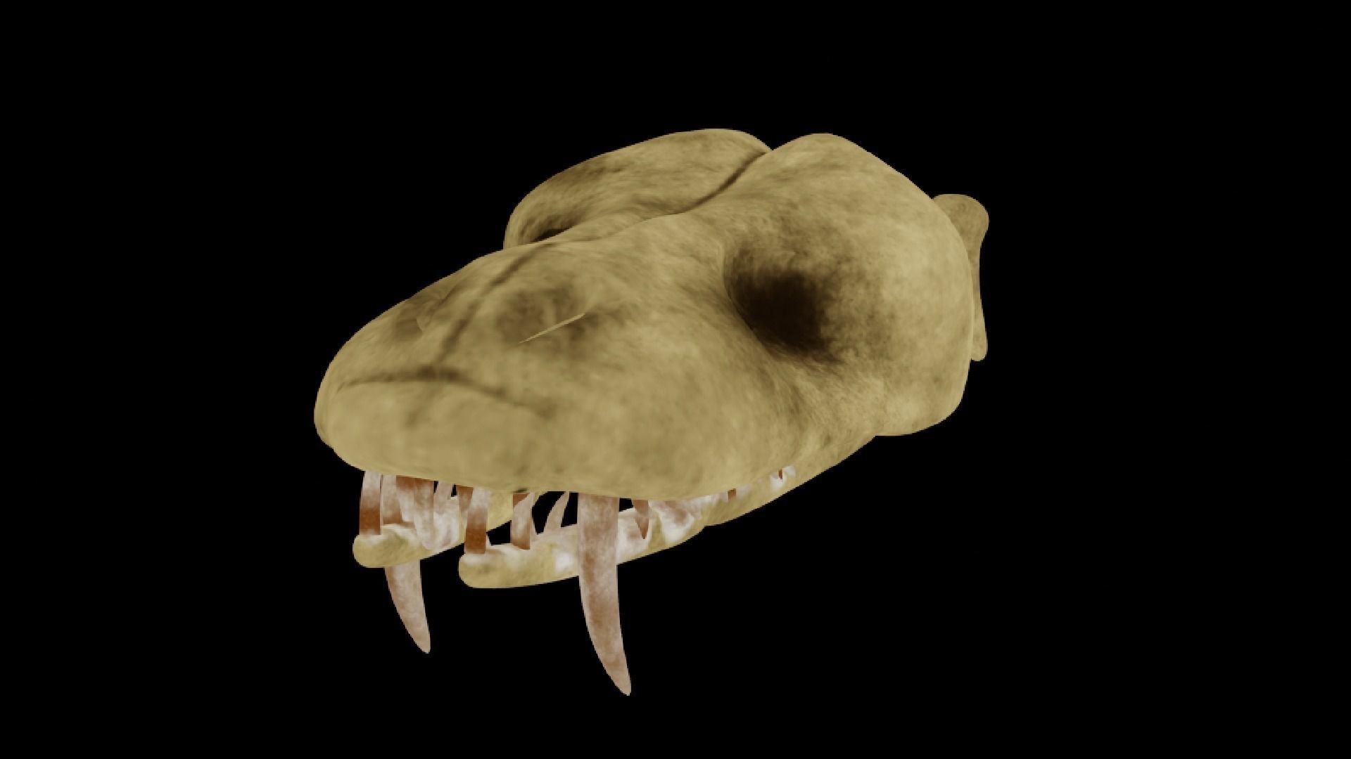 SNEAK SKULL Low-poly 3D model_5