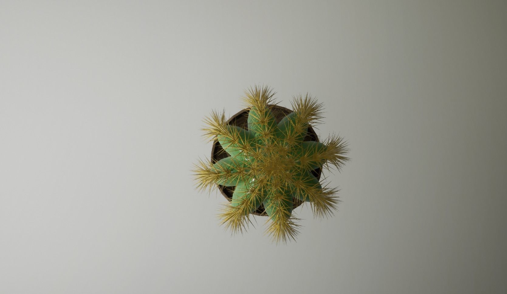 Cactus Plant in a wooden Pt 3D model 3D model_1