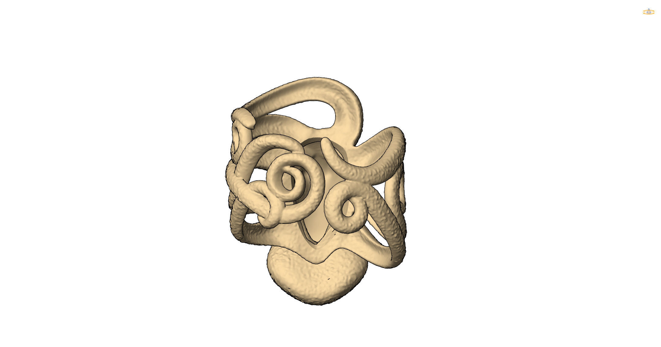 ring octopus 3D print model_8