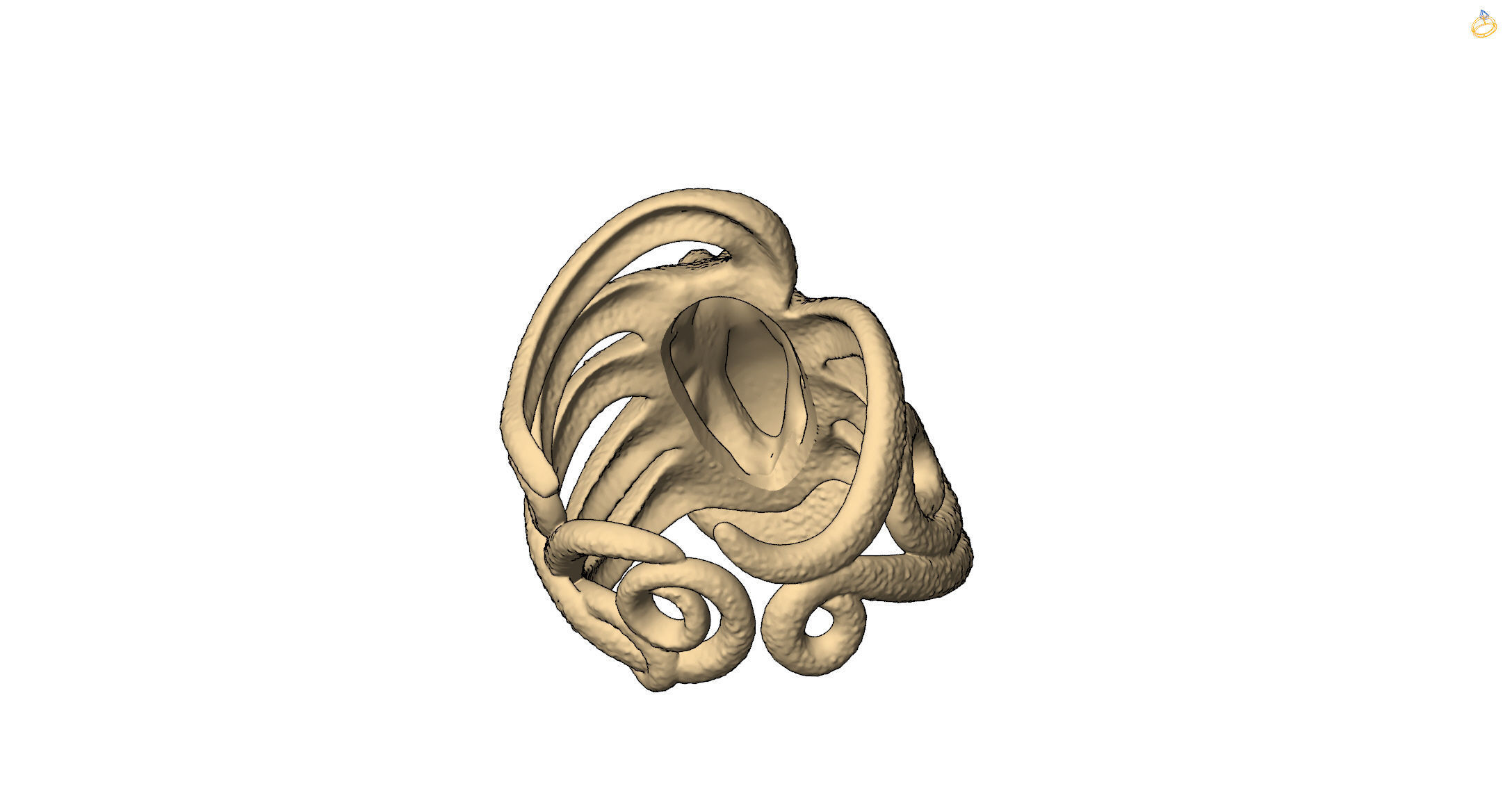 ring octopus 3D print model_9