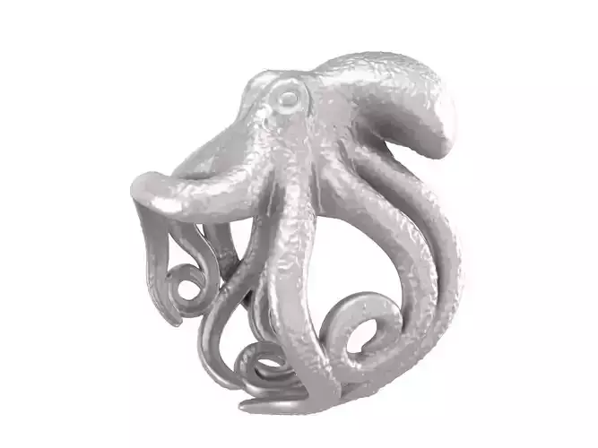 ring octopus
