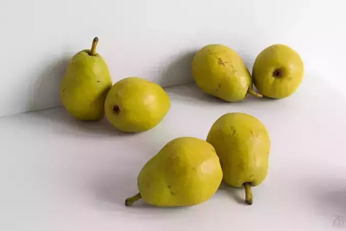  Pear 3D model