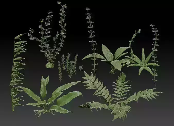 Aquatic plants 3D print model