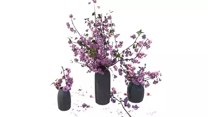 Peach Blossom Vases