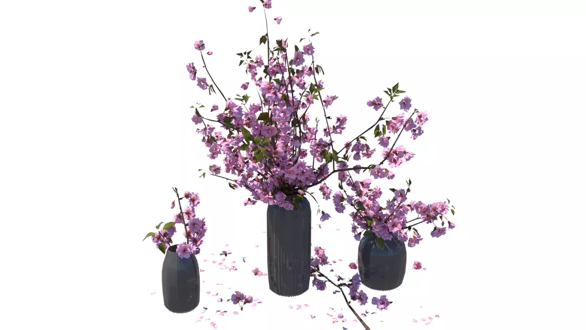Peach Blossom Vases 3D model