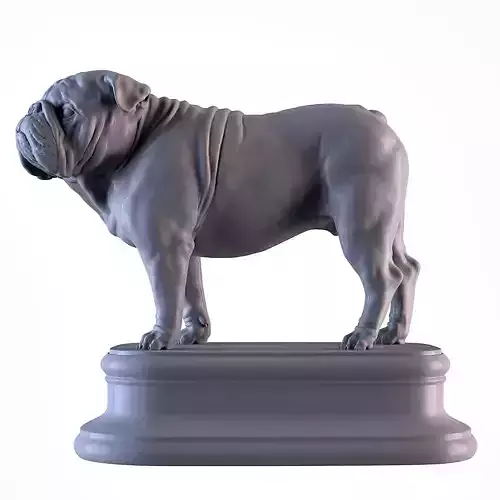 English Bulldog 3D print model
