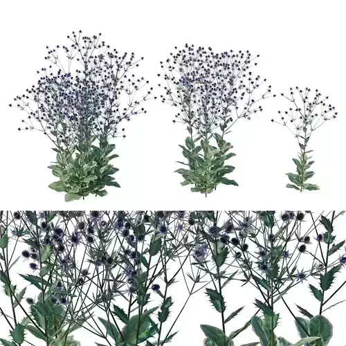 Blue Glitter Sea Holly