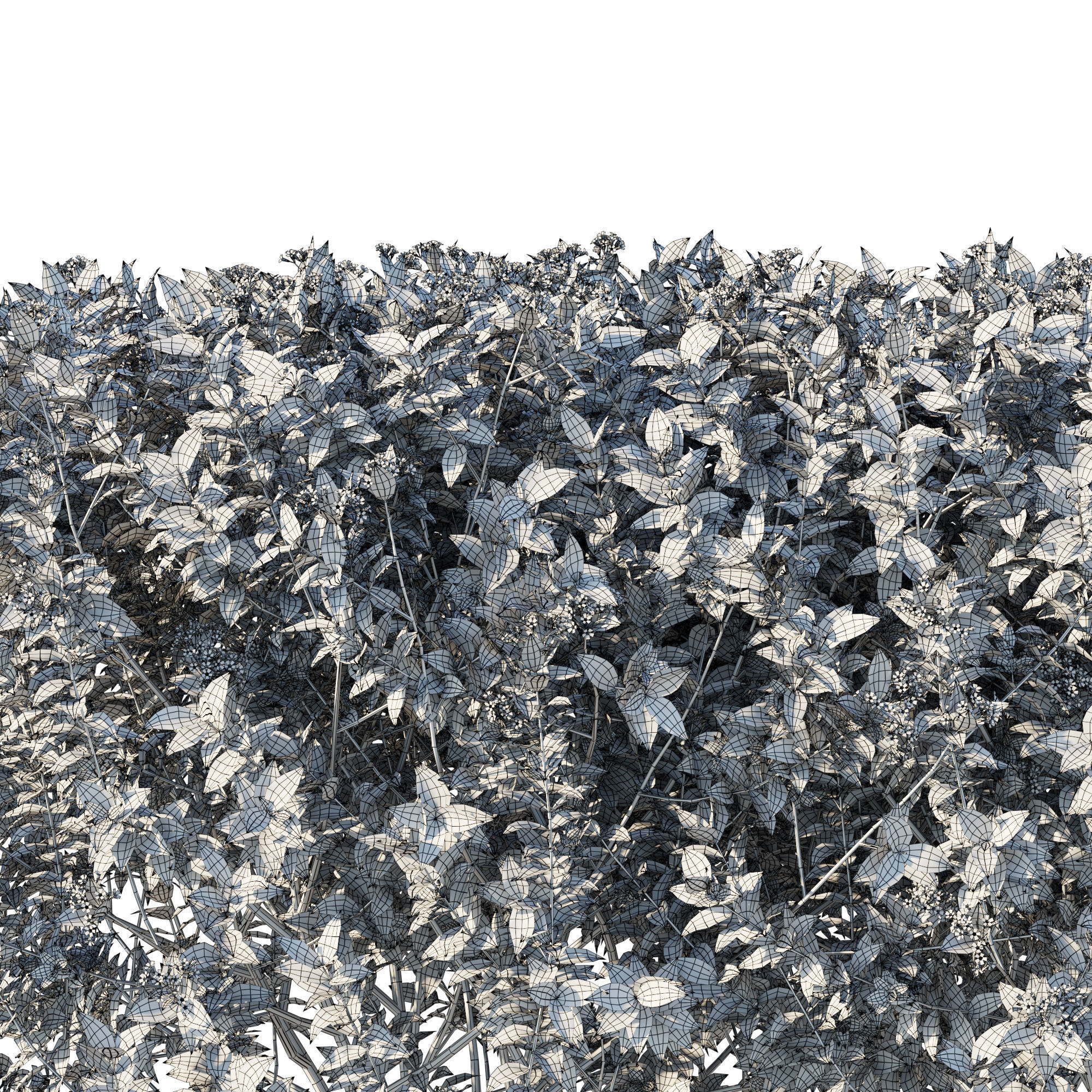 bushes 01 3D model_2