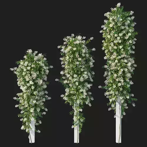 Pandorea pandorana vines 02 3D model