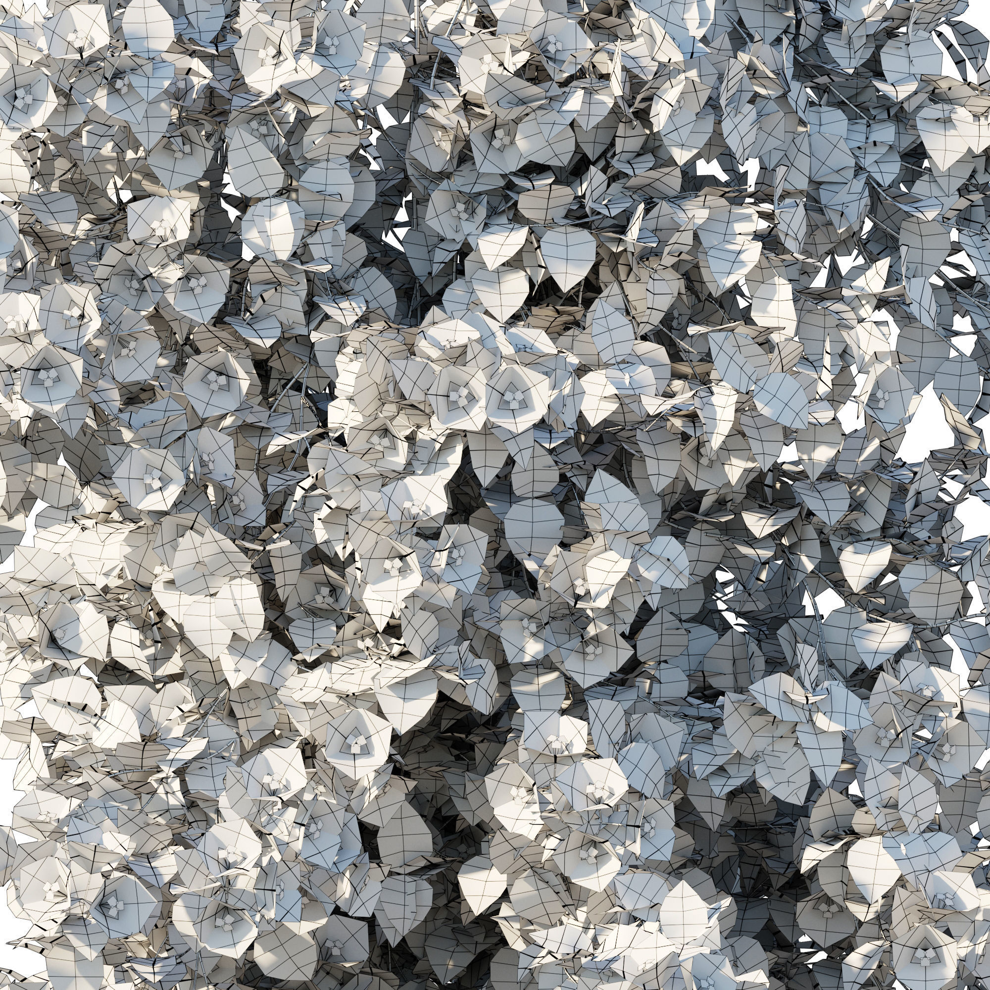 Vines Bougainvillea 01 3D model_4