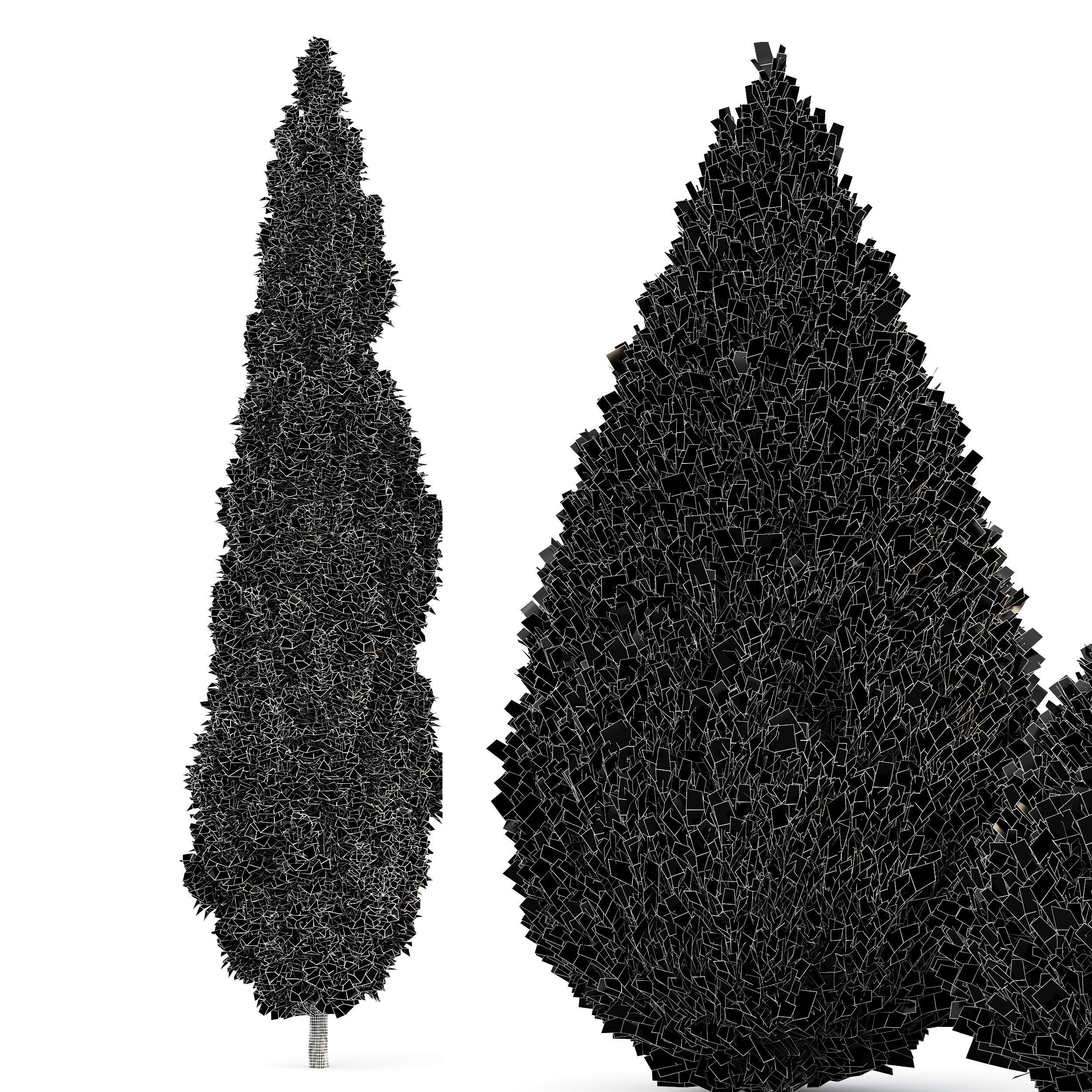 Juniperus chinensis Spartan Taylor Juniper Mediterranean Cypress 3D model_2