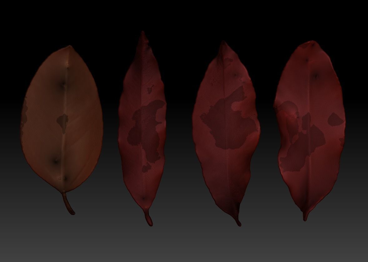 leaves Leaf sculpture ZBrush Leaf Brush 3D print model 3D print model_1
