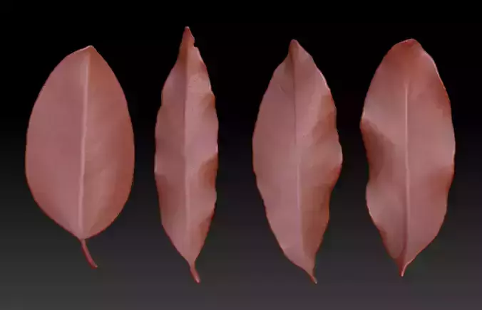 leaves Leaf sculpture ZBrush Leaf Brush 3D print model