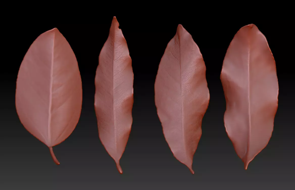 leaves Leaf sculpture ZBrush Leaf Brush 3D print model 3D print model_0