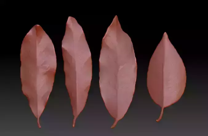 leaf foliage leafage 3D printing leaves Withered leaves Autumn 3D print model