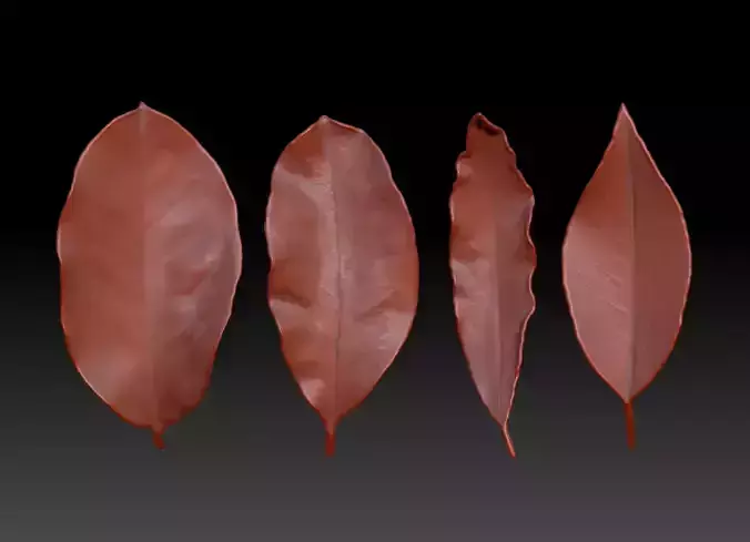 3D printing leaves Withered leaves Autumn leaves Leaf sculpture