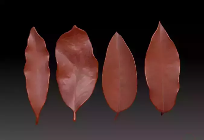  Autumn leaves Leaf sculpture ZBrush Leaf Brush realistic