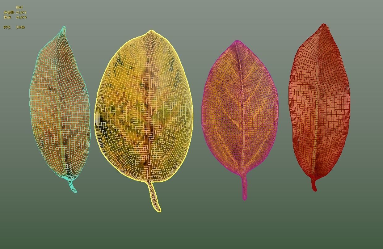 FBX autumn leaves realistic CG resources yellow leaves red dry  3D model_2