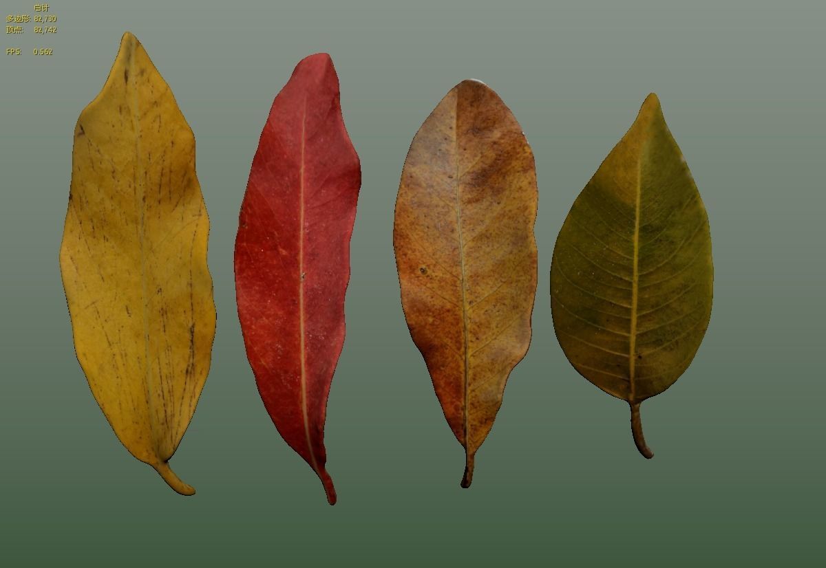 FBX autumn leaves realistic CG resources yellow leaves red dry 3D model_4