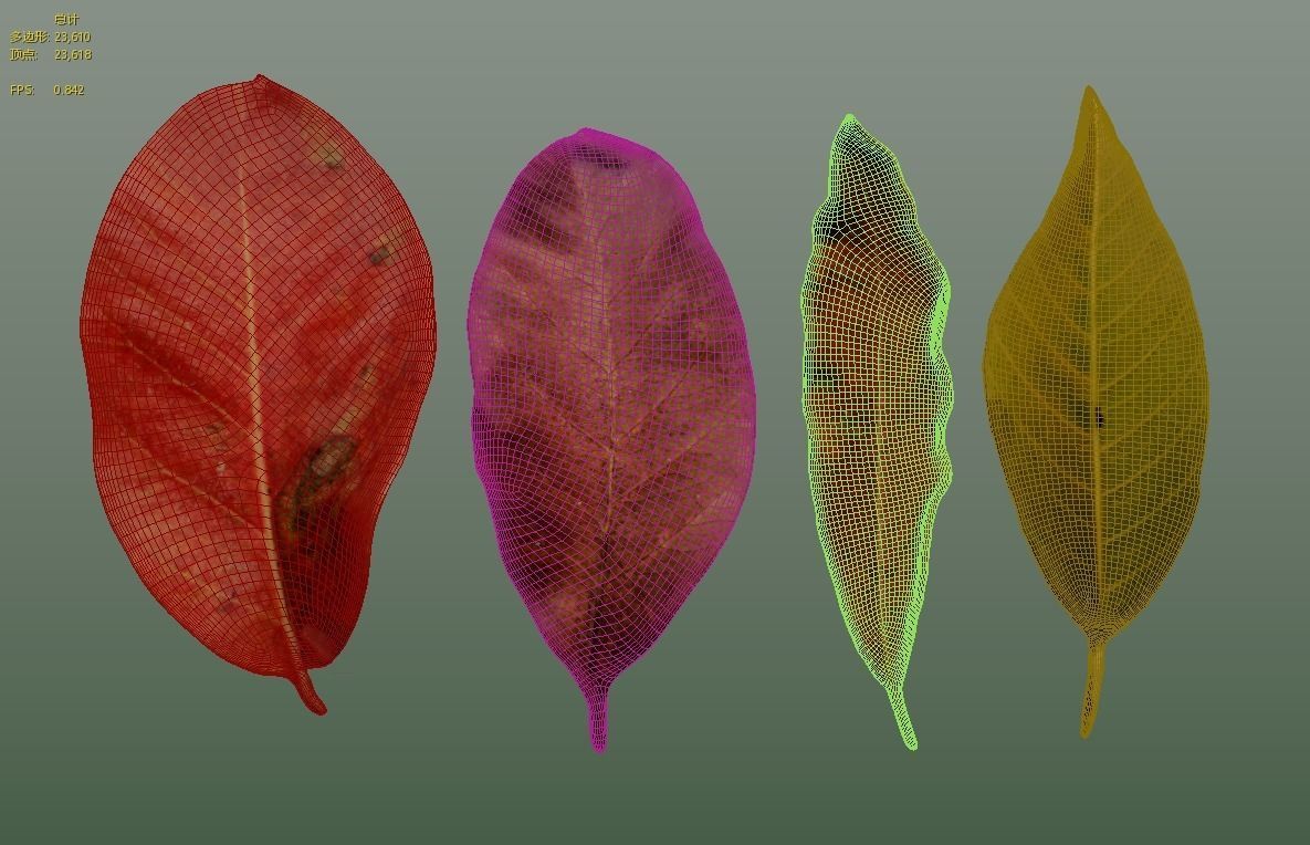 FBX autumn leaves realistic CG resources yellow leaves red dry  3D model_3