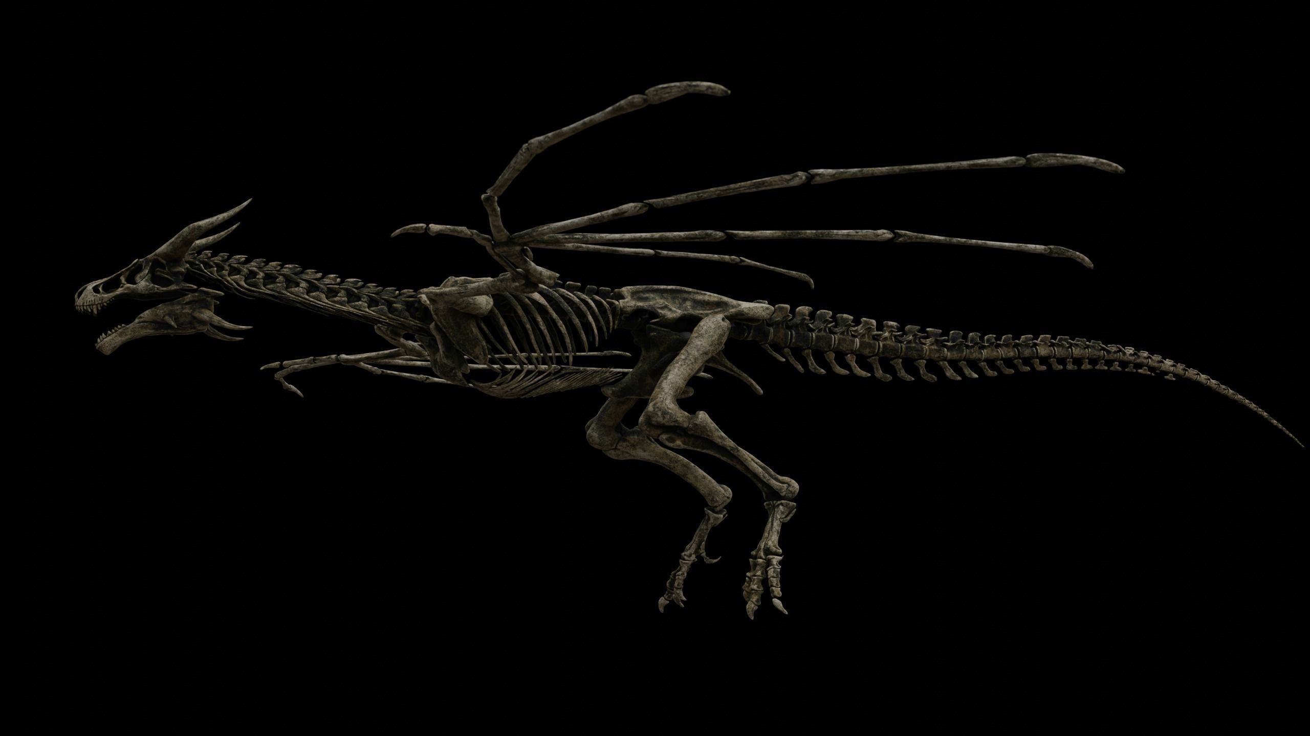 Dragon Wyvern Skeleton Low-poly 3D model_32