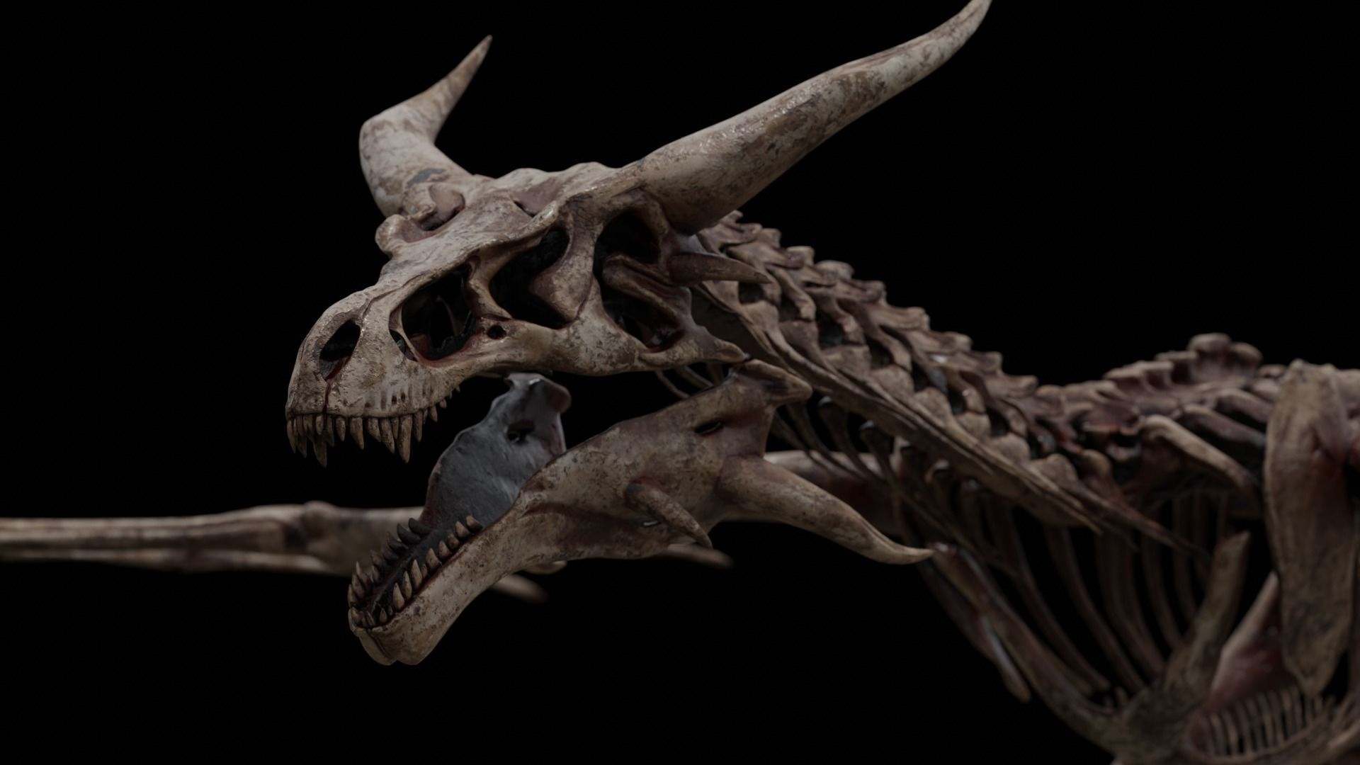 Dragon Wyvern Skeleton Low-poly 3D model_4