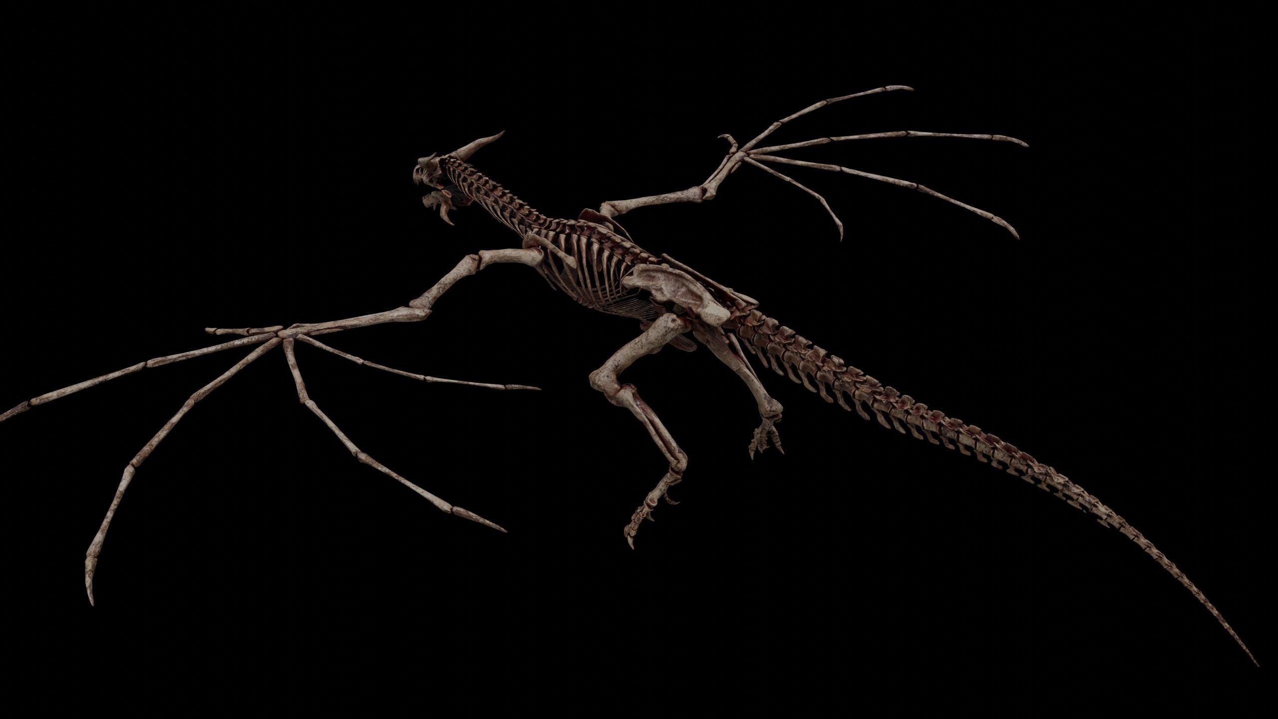 Dragon Wyvern Skeleton Low-poly 3D model_10