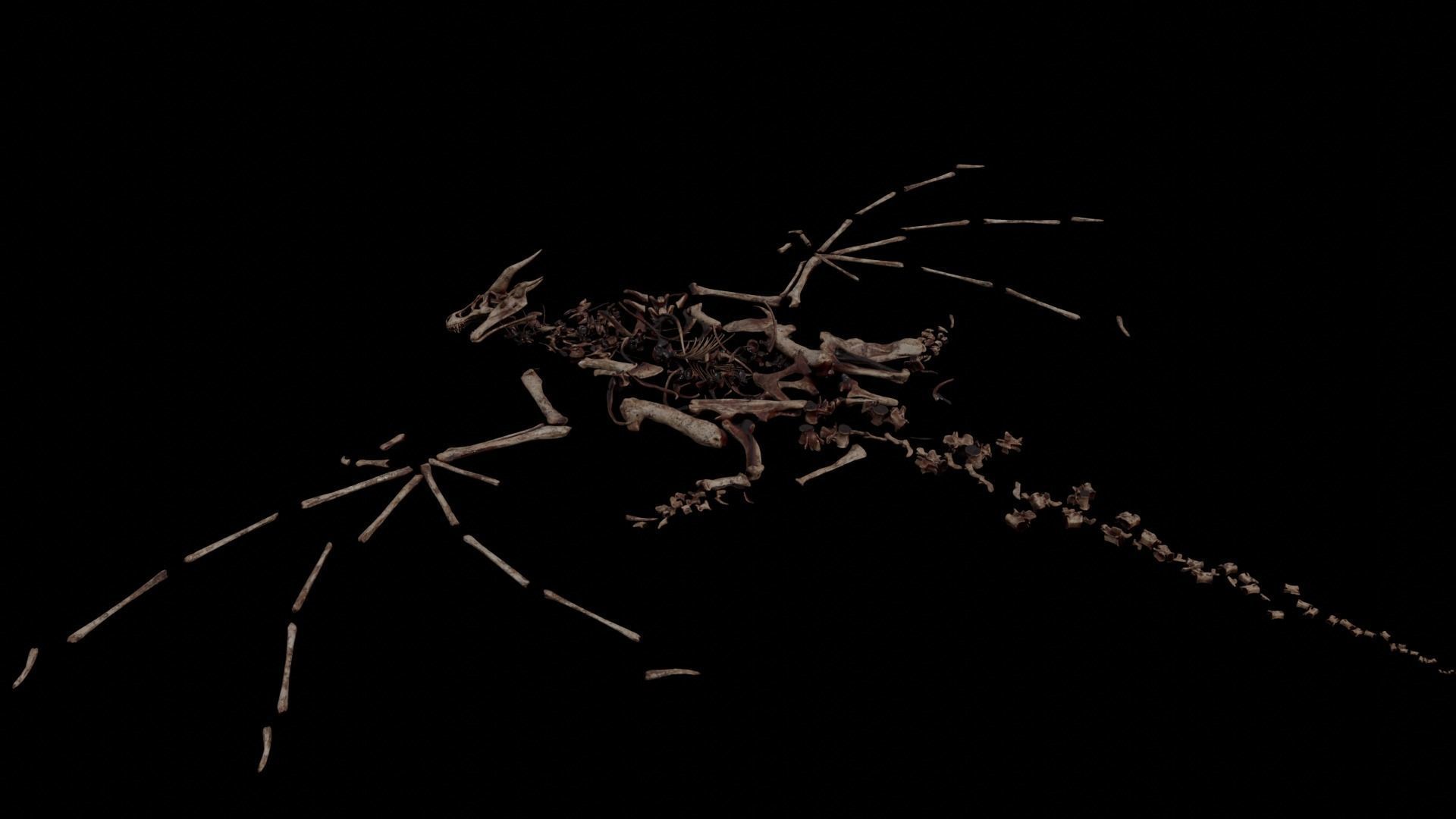 Dragon Wyvern Skeleton Low-poly 3D model_16