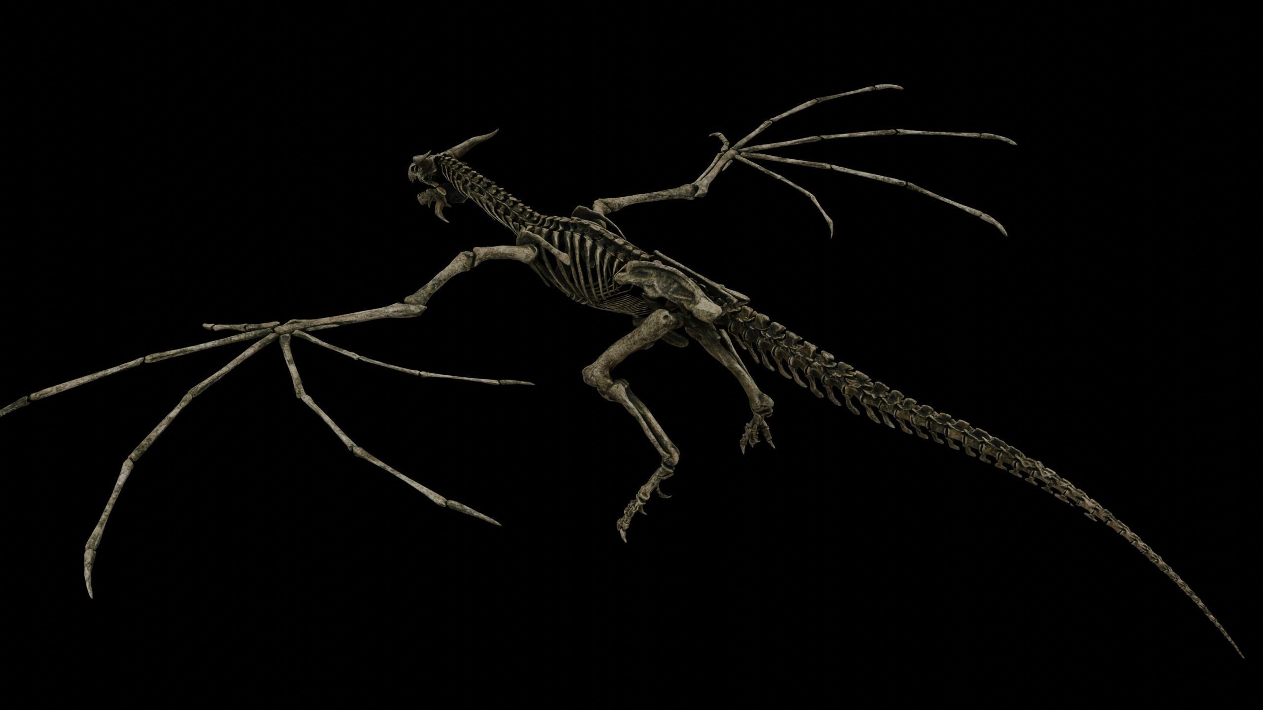 Dragon Wyvern Skeleton Low-poly 3D model_11