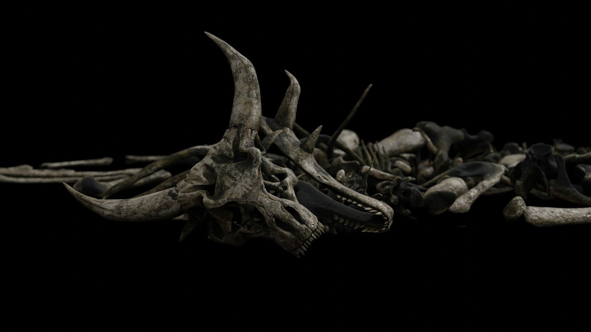 Dragon Wyvern Skeleton Low-poly 3D model_14