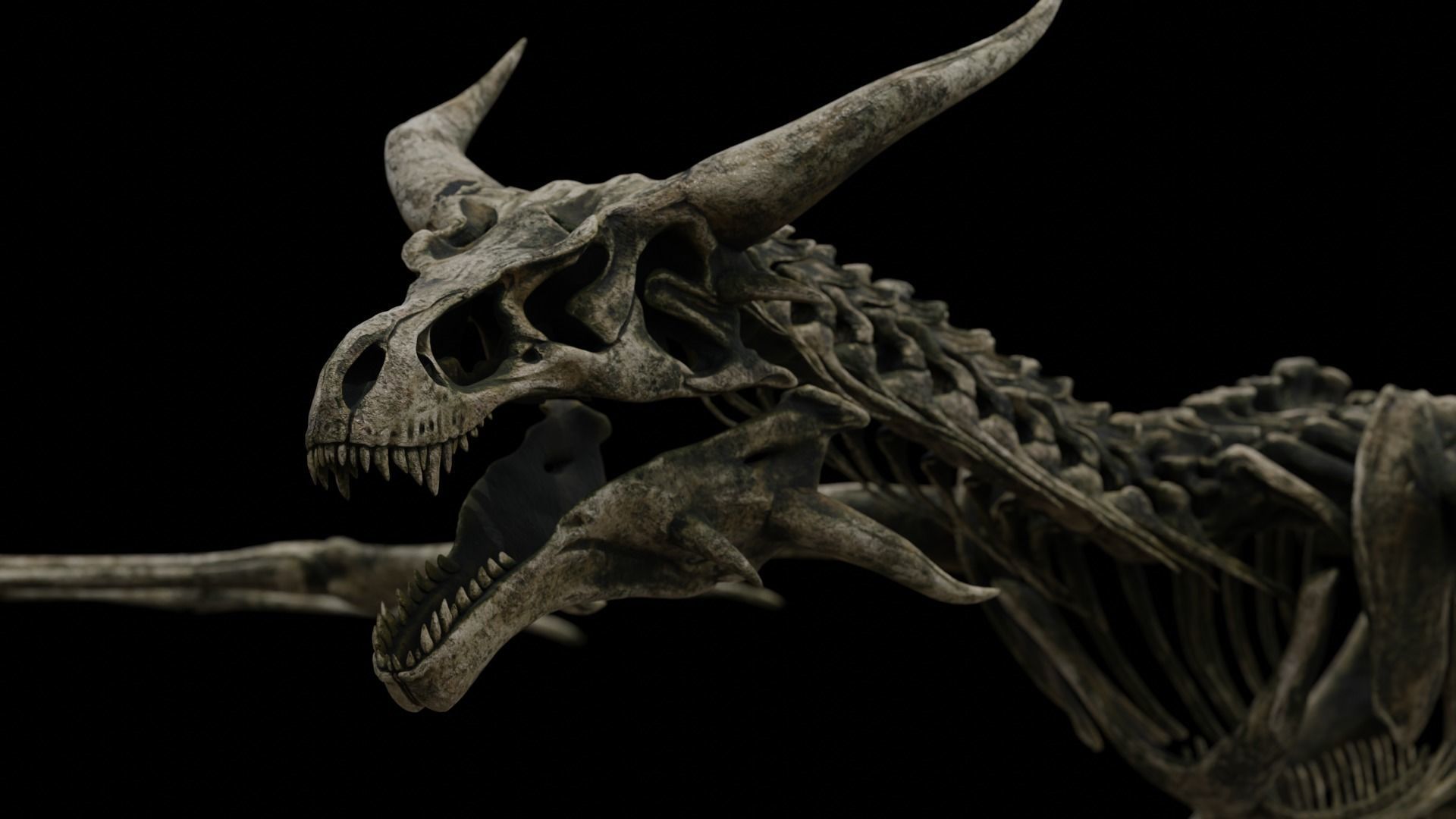 Dragon Wyvern Skeleton Low-poly 3D model_5
