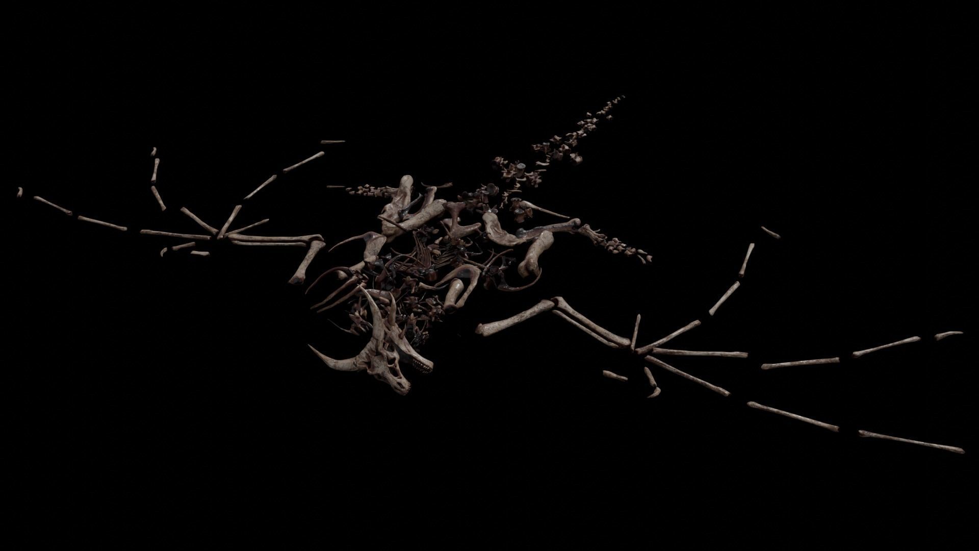 Dragon Wyvern Skeleton Low-poly 3D model_24