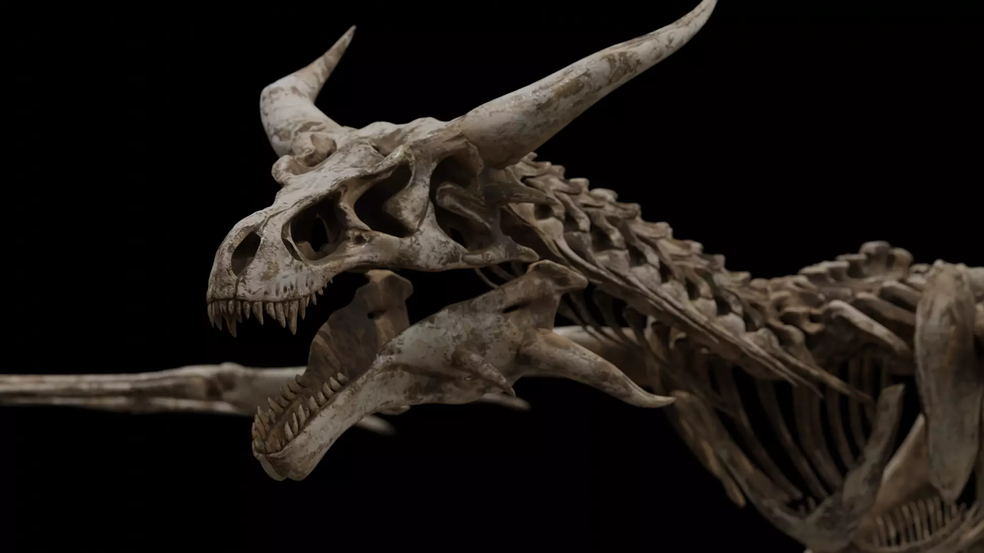 Dragon Wyvern Skeleton Low-poly 3D model_0