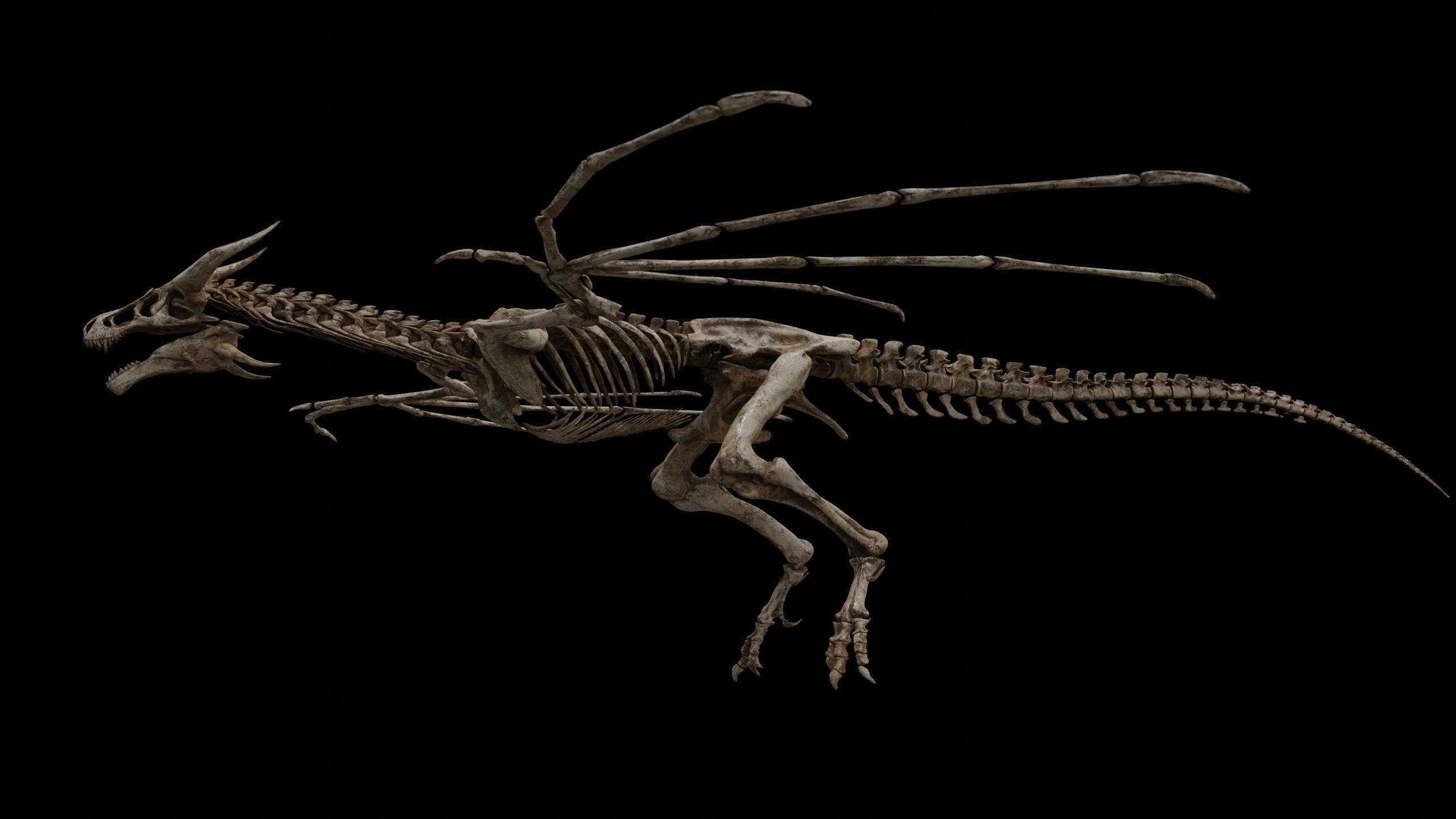 Dragon Wyvern Skeleton Low-poly 3D model_31