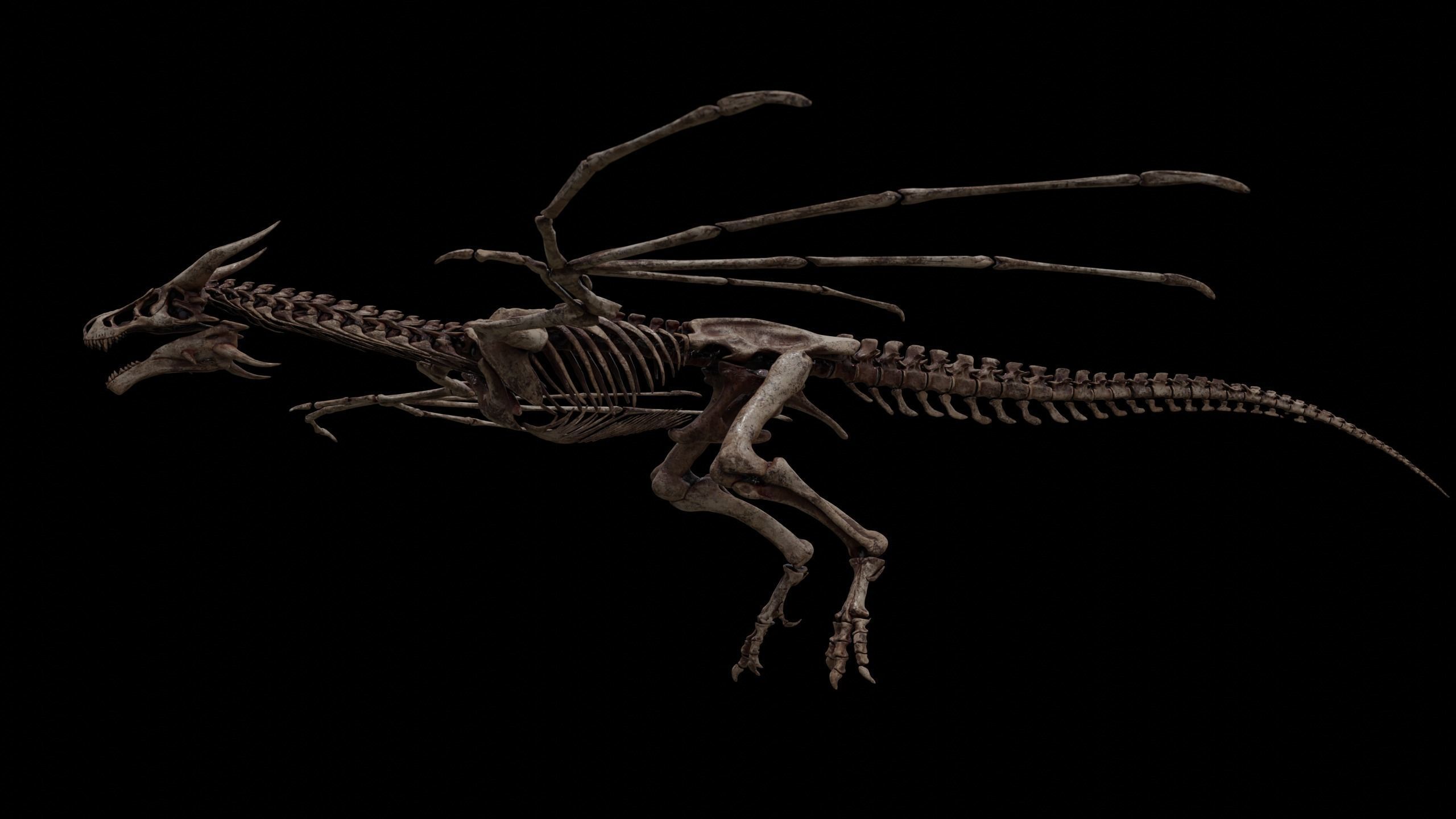 Dragon Wyvern Skeleton Low-poly 3D model_30