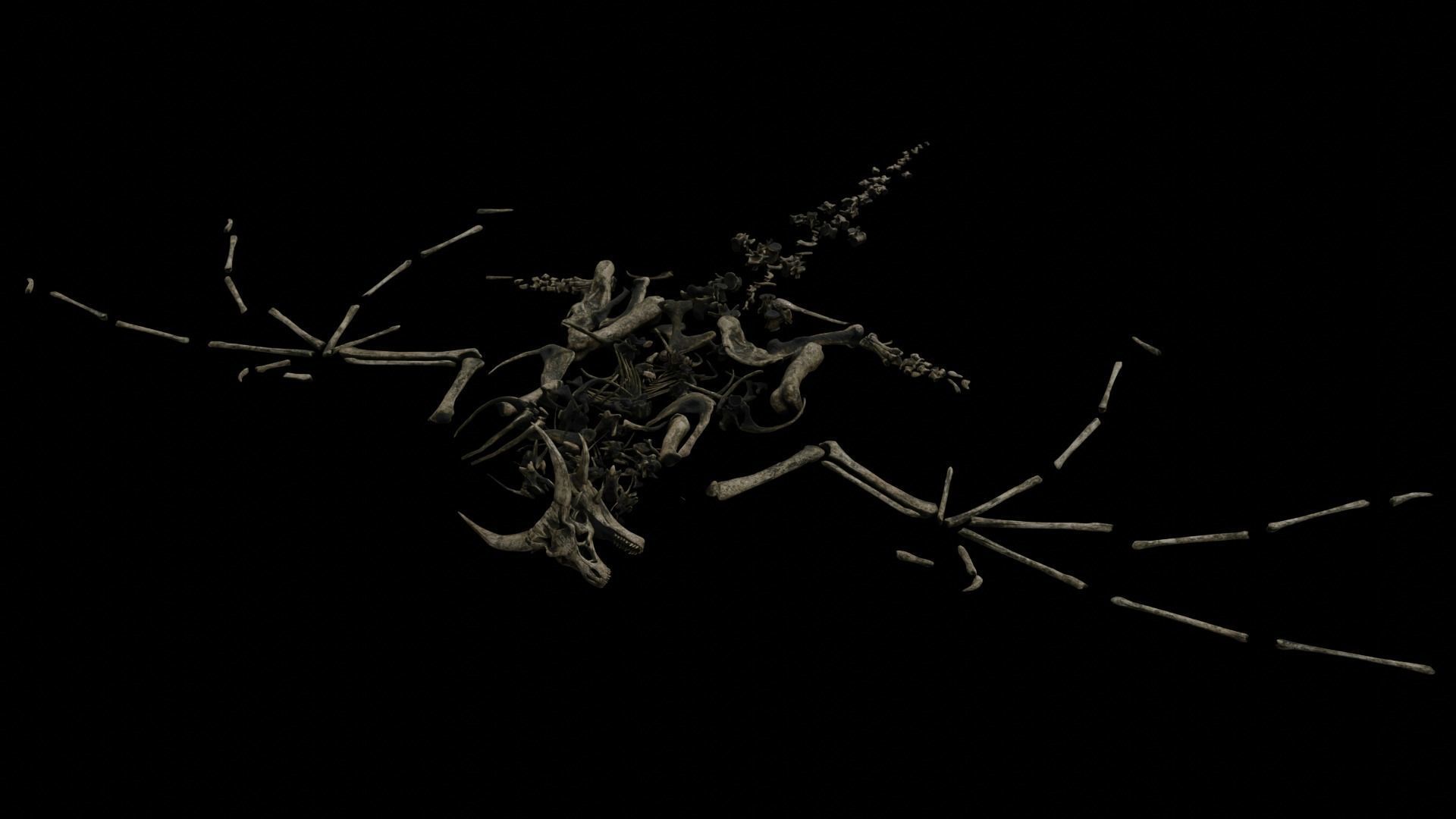 Dragon Wyvern Skeleton Low-poly 3D model_25