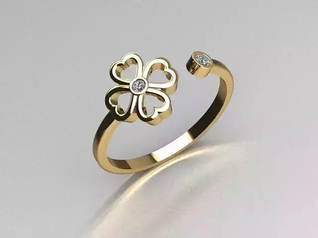 jewelry ring