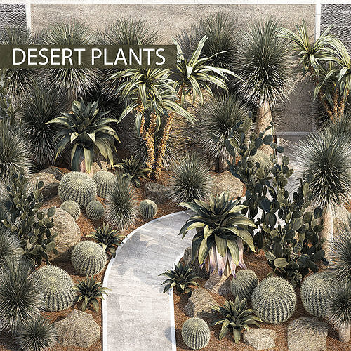 Collection Plants Desert Flowerbed With Cactus 3D model