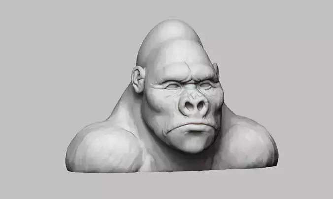 Gorilla bust head a03