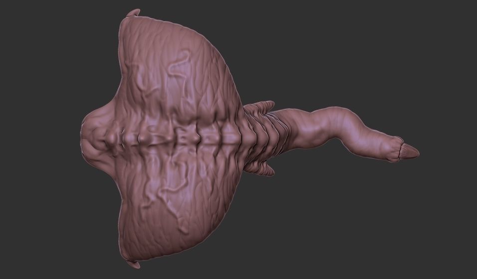 Xenoteras Parasyte Wyrm and Flying Swarms 3D print model_18