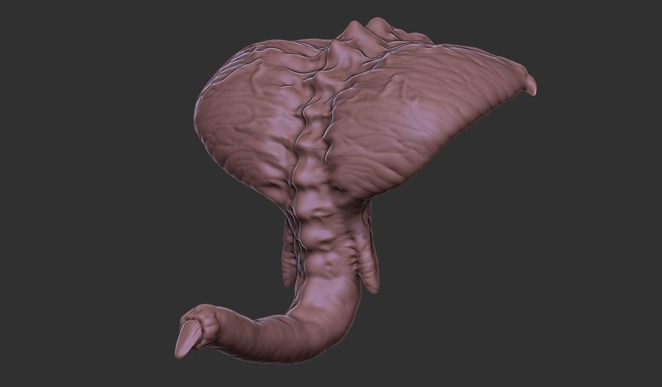 Xenoteras Parasyte Wyrm and Flying Swarms 3D print model_11