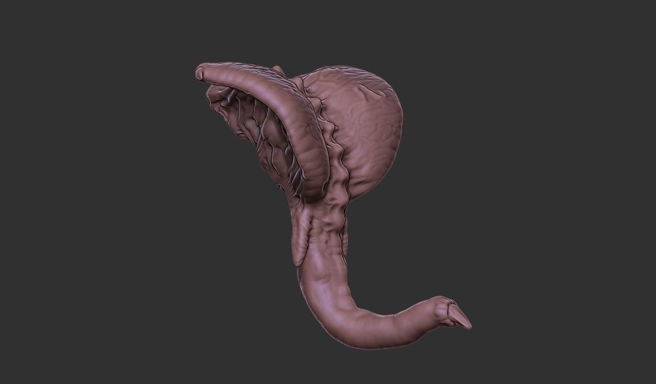 Xenoteras Parasyte Wyrm and Flying Swarms 3D print model_15